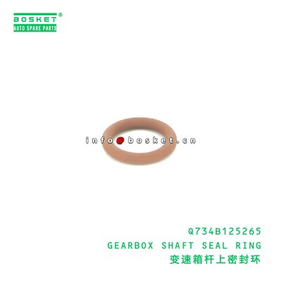 Q62404 HEXAGONAL CONICAL PLUG - JAC Q62404에 적합한 오일 드레인 플러그